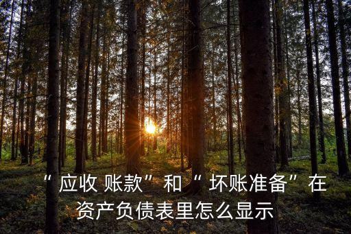 應收賬款壞賬準備