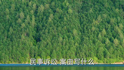 案由怎么寫,擔(dān)保人起訴借款人訴狀案由怎么寫