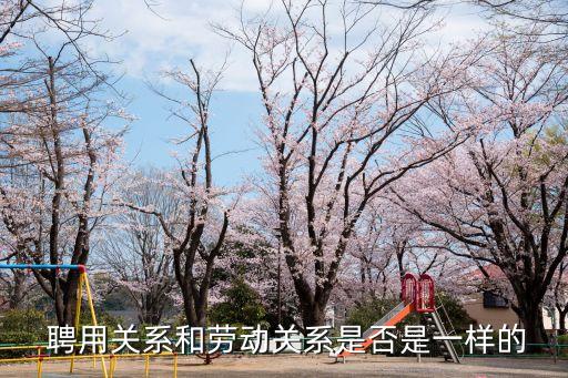 聘用合同時(shí)什么法律關(guān)系