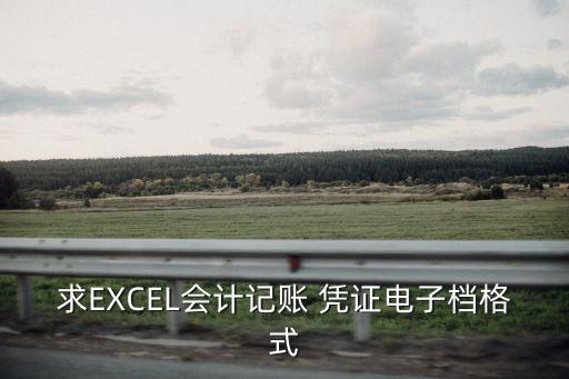 求EXCEL會計記賬 憑證電子檔格式