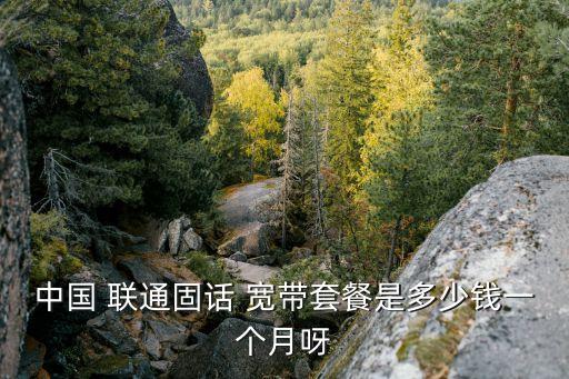 中國 聯(lián)通固話 寬帶套餐是多少錢一個(gè)月呀