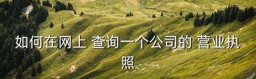 如何在網上 查詢一個公司的 營業(yè)執(zhí)照