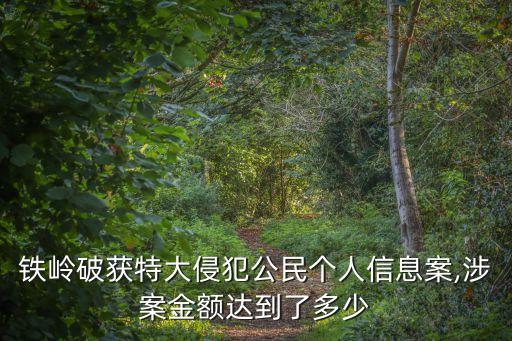 鐵嶺破獲特大侵犯公民個(gè)人信息案,涉案金額達(dá)到了多少