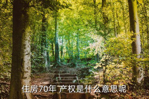 70年產(chǎn)權(quán)
