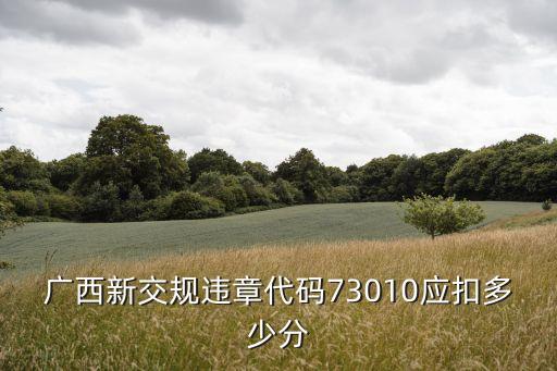 廣西新交規(guī)違章代碼73010應扣多少分