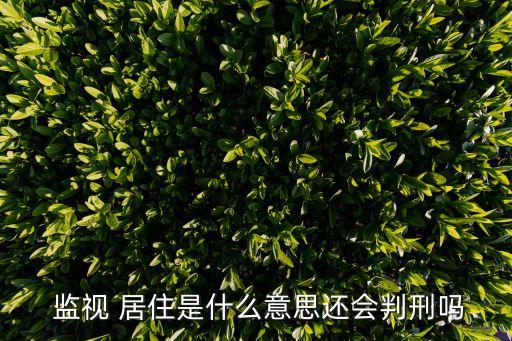 監(jiān)視居住