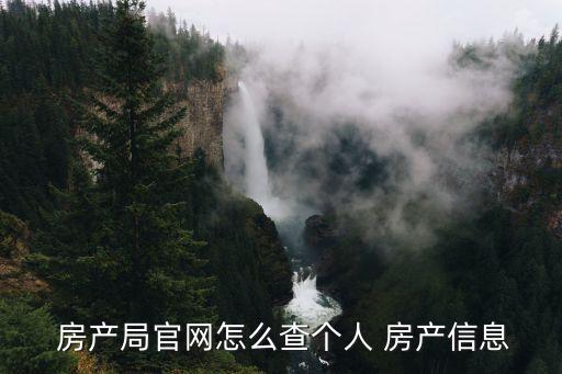  房產(chǎn)局官網(wǎng)怎么查個人 房產(chǎn)信息