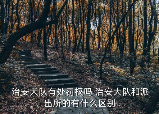 治安行政處置權(quán)