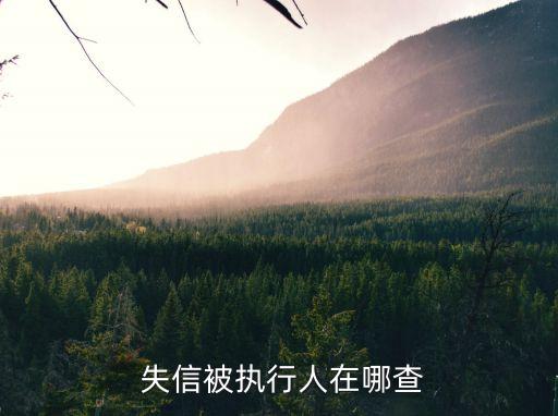 失信被執(zhí)行人在哪查