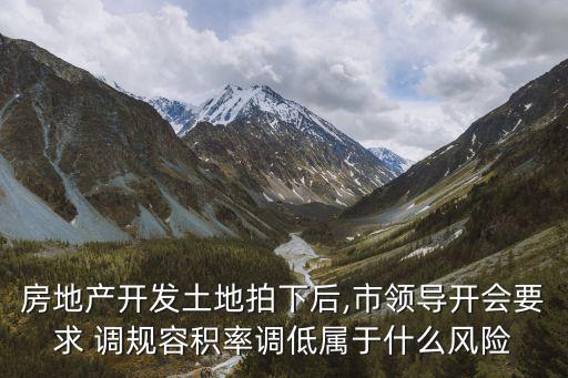 房地產(chǎn)開發(fā)土地拍下后,市領(lǐng)導(dǎo)開會要求 調(diào)規(guī)容積率調(diào)低屬于什么風(fēng)險