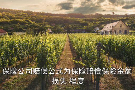 保險(xiǎn)公司賠償公式為保險(xiǎn)賠償保險(xiǎn)金額 損失 程度