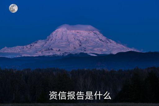資信是什么意思,投標人資信是什么意思
