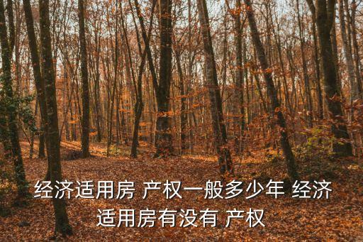 經(jīng)濟(jì)適用房產(chǎn)權(quán),云南省金沙江木材水運(yùn)局經(jīng)濟(jì)適用房產(chǎn)權(quán)