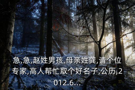 急,急,趙姓男孩,母親姓龔,請個位專家,高人幫忙取個好名子,公歷,2012.6...