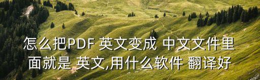 怎么把PDF 英文變成 中文文件里面就是 英文,用什么軟件 翻譯好