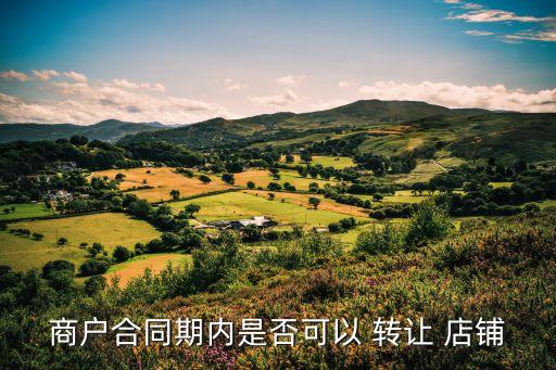 關(guān)于轉(zhuǎn)讓店鋪的法律,妻子私自轉(zhuǎn)讓店鋪法律有效嗎