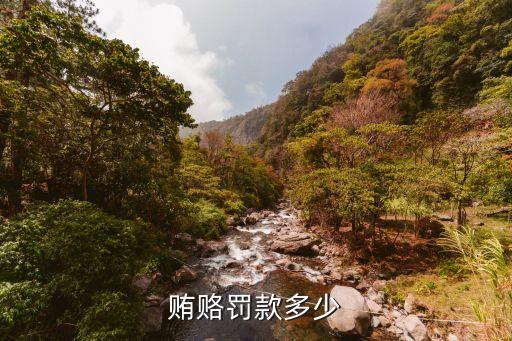 受賄罪構(gòu)成要件,2022年收賄賂多少錢立案標(biāo)準(zhǔn)