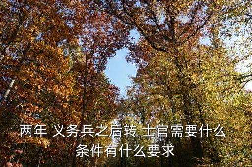 兩年 義務(wù)兵之后轉(zhuǎn) 士官需要什么 條件有什么要求
