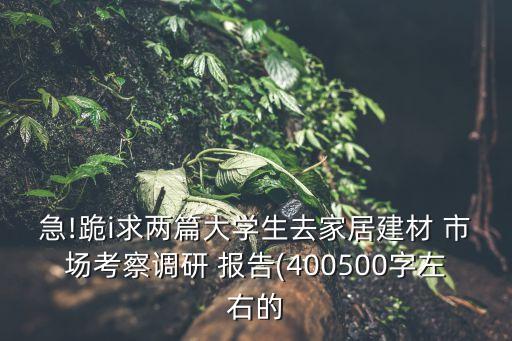 急!跪i求兩篇大學(xué)生去家居建材 市場(chǎng)考察調(diào)研 報(bào)告(400500字左右的