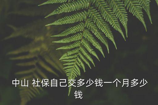  中山 社保自己交多少錢(qián)一個(gè)月多少錢(qián)