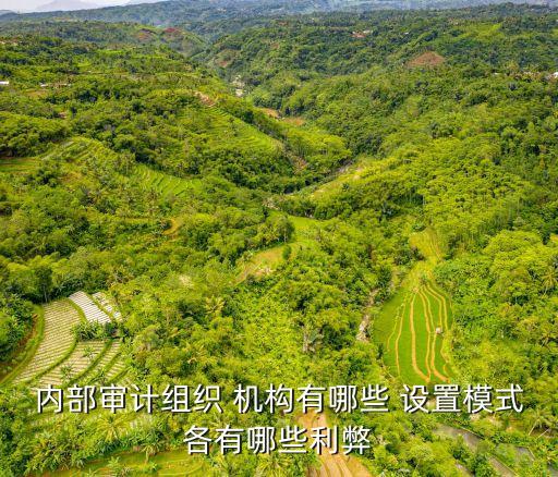 內(nèi)部審計組織 機構(gòu)有哪些 設(shè)置模式各有哪些利弊