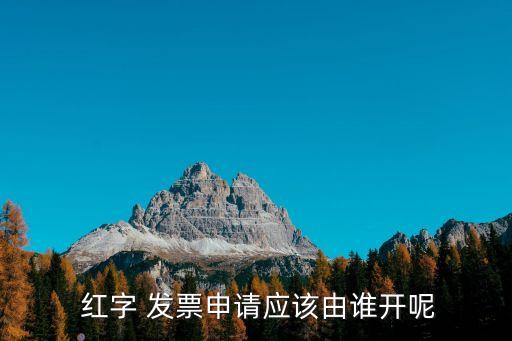  紅字 發(fā)票申請應(yīng)該由誰開呢