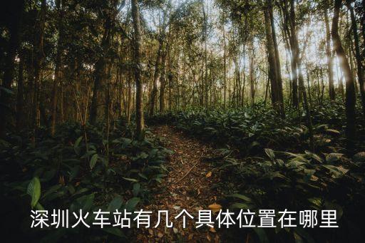 深圳東站在哪里,深圳北站在哪里