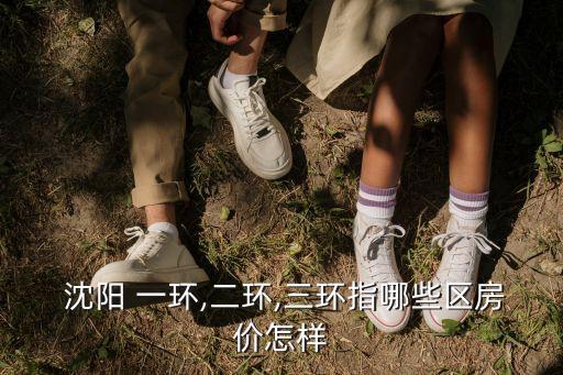  沈陽 一環(huán),二環(huán),三環(huán)指哪些區(qū)房價怎樣