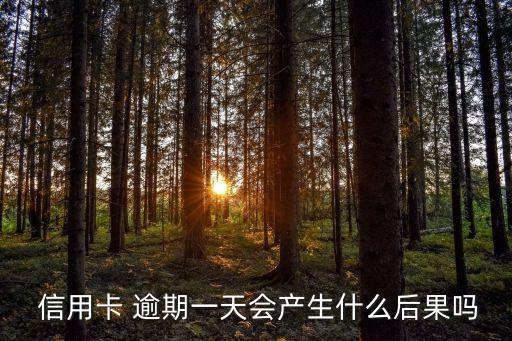 信用卡逾期一天