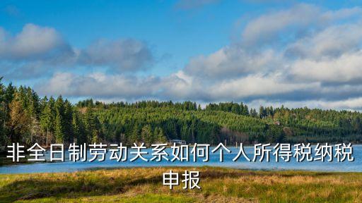 非全日制勞動(dòng)關(guān)系如何個(gè)人所得稅納稅申報(bào)