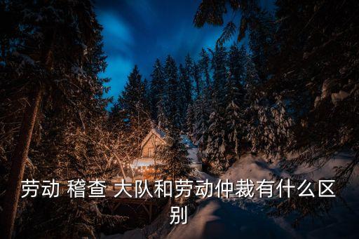勞動(dòng) 稽查 大隊(duì)和勞動(dòng)仲裁有什么區(qū)別