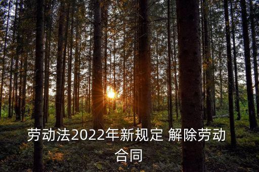 勞動法2022年新規(guī)定 解除勞動 合同