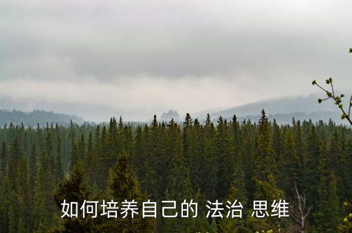 法治思維