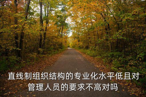 直線制