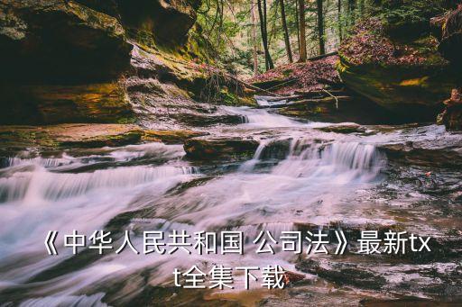 公司法完整版