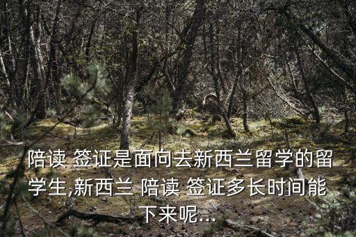 陪讀簽證,新加坡陪讀簽證