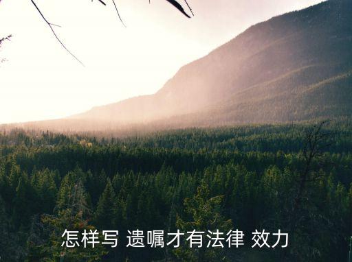 怎樣寫 遺囑才有法律 效力