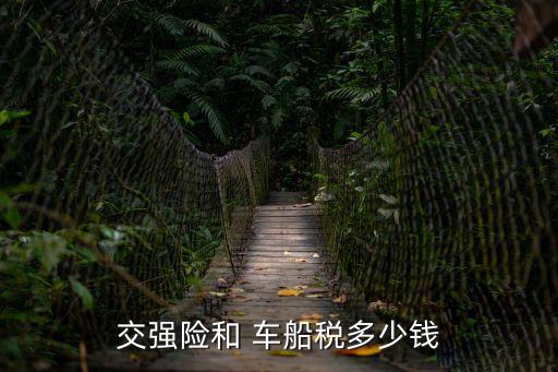 車船稅多少錢一年,3.0排量交強(qiáng)險(xiǎn)車船稅多少錢一年