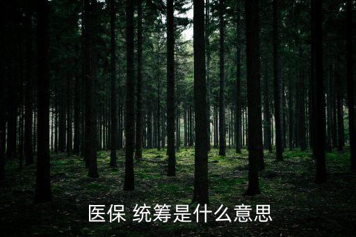 醫(yī)保統(tǒng)籌怎么用,藥店購藥醫(yī)保統(tǒng)籌怎么用