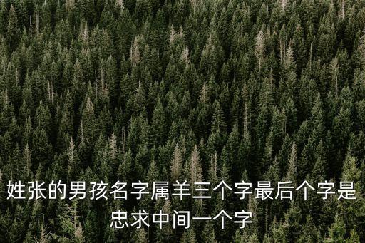 張遠(yuǎn)忠