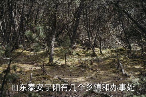 山東泰安寧陽有幾個鄉(xiāng)鎮(zhèn)和辦事處
