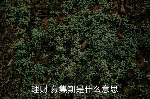 募集是什么意思,中期票據(jù)募集是什么意思