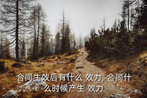 合同成立的法律效力規(guī)定,合同一經(jīng)成立,即具有法律效力