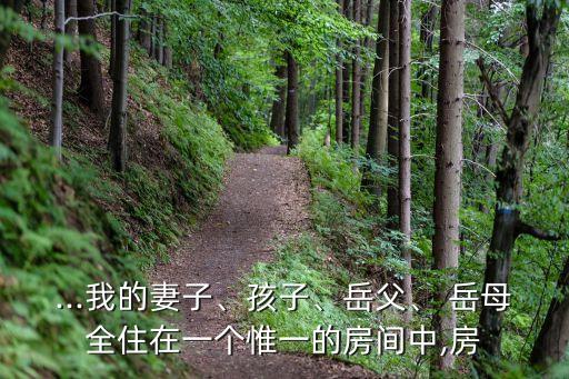 ...我的妻子、孩子、岳父、 岳母全住在一個惟一的房間中,房