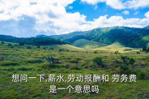 勞務費是什么意思,發(fā)工資備注勞務費是什么意思