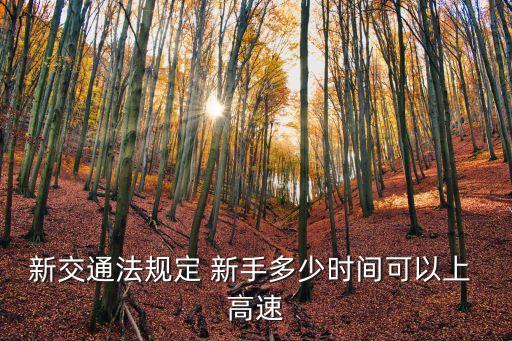 新交通法規(guī)定 新手多少時(shí)間可以上 高速