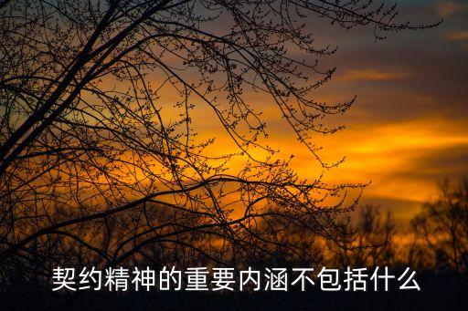  契約精神的重要內(nèi)涵不包括什么