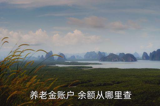 養(yǎng)老保險余額