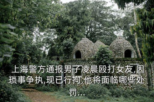  上海警方通報男子凌晨毆打女友,因瑣事爭執(zhí),現(xiàn)已行拘,他將面臨哪些處罰...
