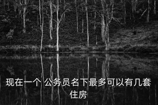 現(xiàn)在一個(gè) 公務(wù)員名下最多可以有幾套住房